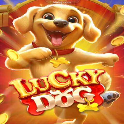 Exploring the Thrills of LuckyDog: Brazil's Premier Betting Platform
